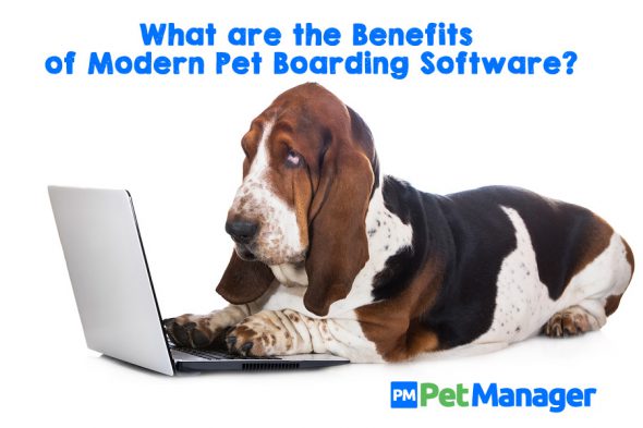 What are the Benefits of Modern Pet Boarding Software