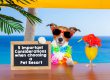5 Important Considerations Pet Resort